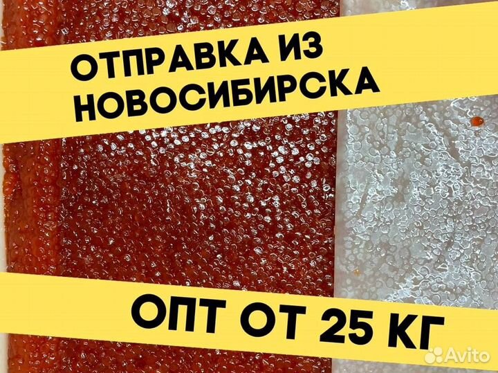 Красная икра нерки, июнь 2023