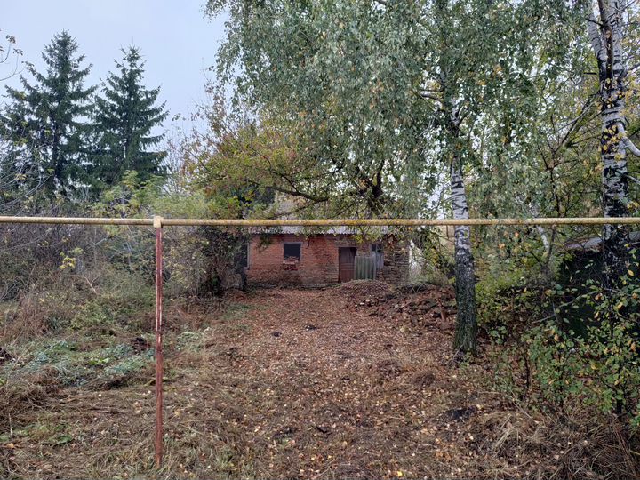 Дом 41,7 м² на участке 30 сот.