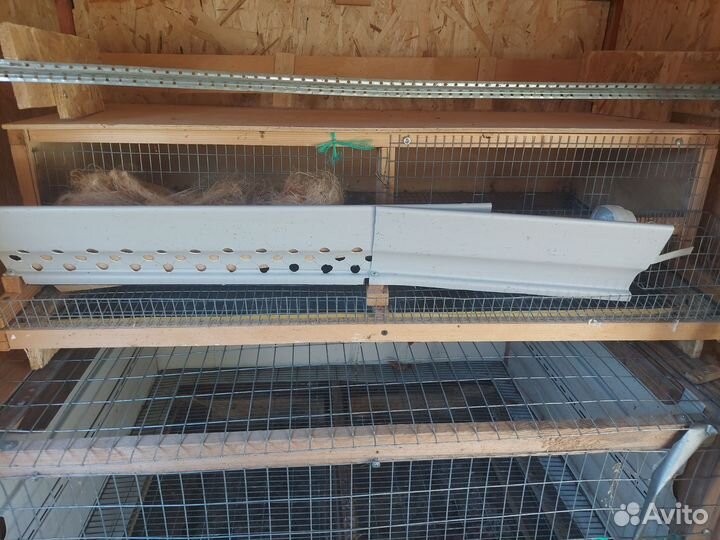Клетки для бройлеров и перепелок