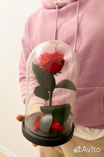 Роза в колбе