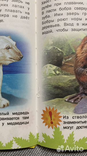 Атлас животных для малышей