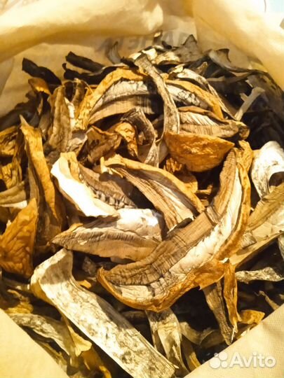 Грибы сухие, солёные, свежие