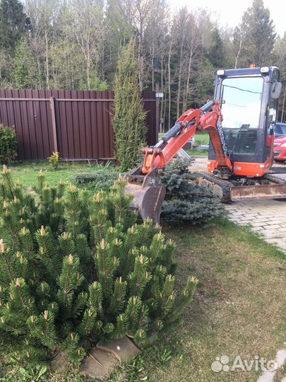 Аренда миниэкскаватора. Услуги мини-экскаватор