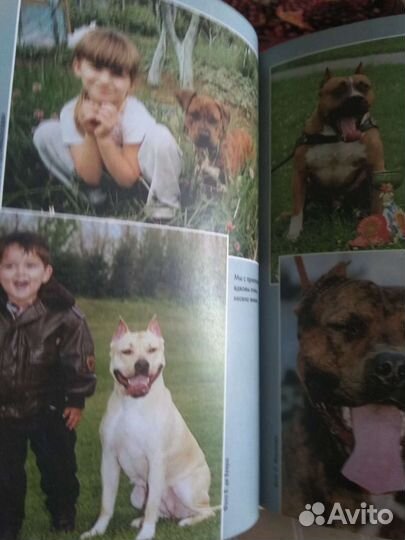 Книги о кошках и собаках