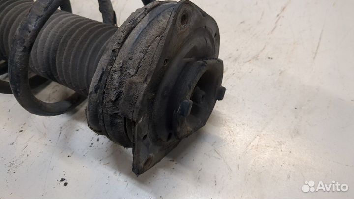 Амортизатор подвески Nissan Qashqai, 2008