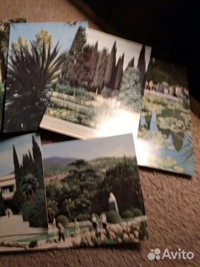 Набор открыток УССР, Никитский ботанический сад