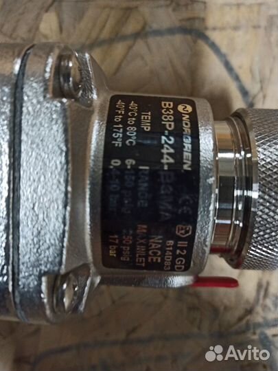 Cameron B38P-244-B3MA регулятор из нержавейки