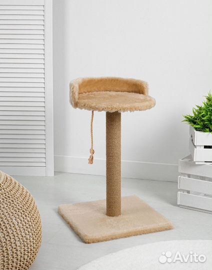 Когтеточка для кошек новая