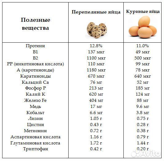 Яйца перепелиные