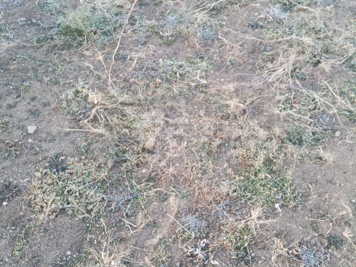 Участок 15 сот. (ИЖС)