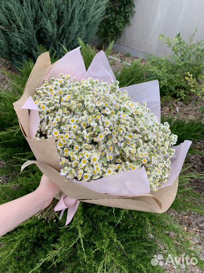 Букет ромашек