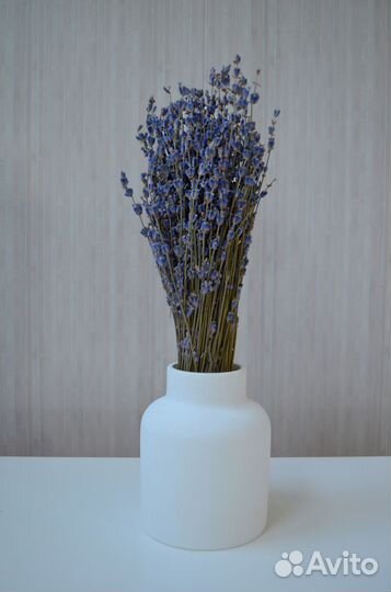 Лаванда (собрана в Крыму)