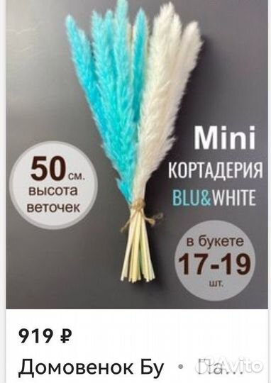 Картадерия декоративная