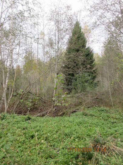 Участок 15 сот. (СНТ, ДНП)