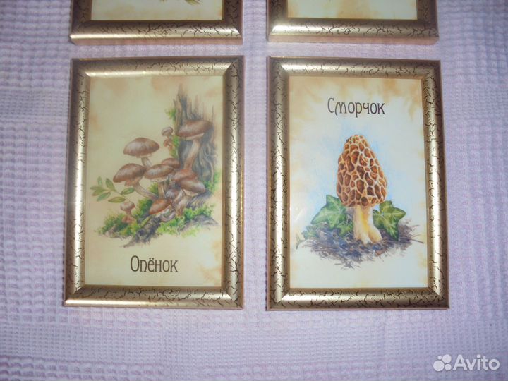 4 панно 12х17 золотая рамка стекло Грибы