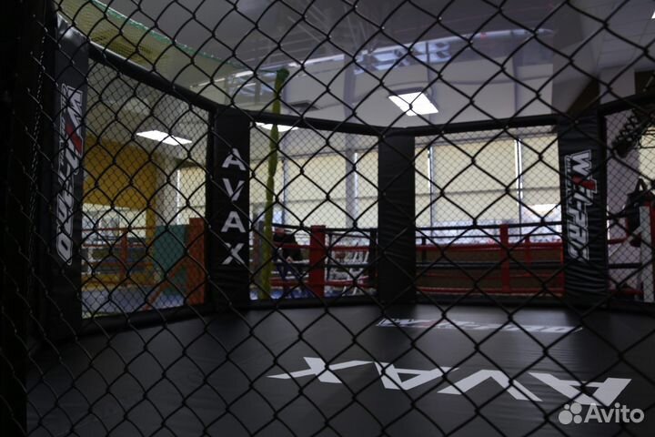 Октагон на техническом помосте