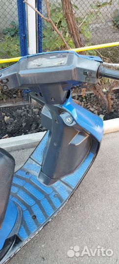 Сузуки сепия zz