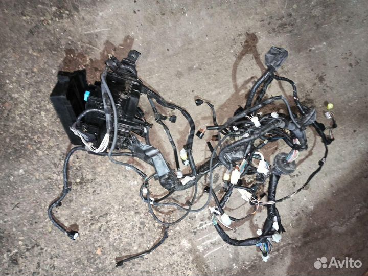 Проводка подкапотная Toyota Corolla