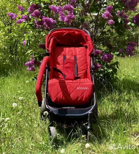 Коляска прогулочная Indigo Assana