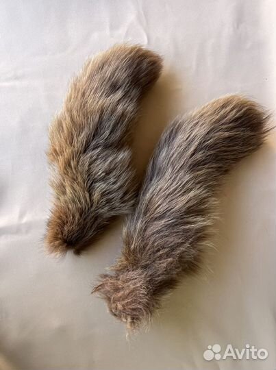 Хвост песца