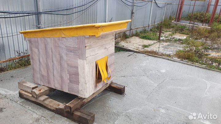 Собачья будка