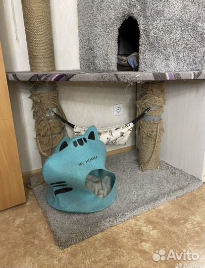 Домик для кошки бу