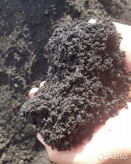 Земля чернозем плодородный