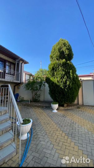 Отдых на черном море