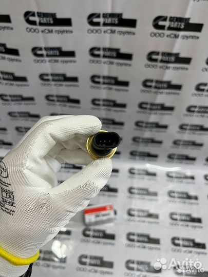 Датчик давления масла Cummins M11 N14 NTA855