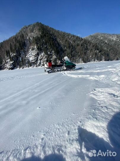 Снегоход рысь