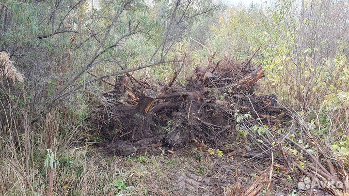 Корень яблони для творчества