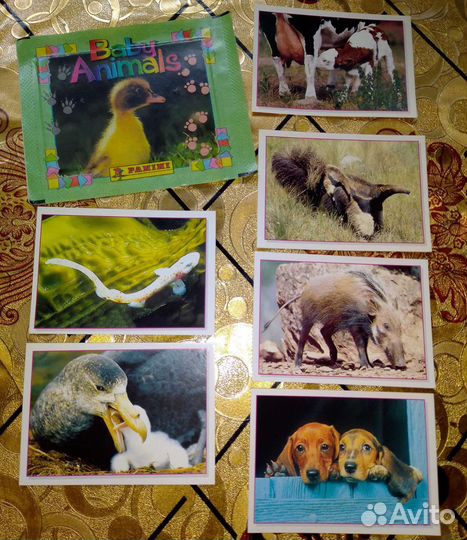 Наклейки Бэтмен, Трансформеры, FIFA Panini