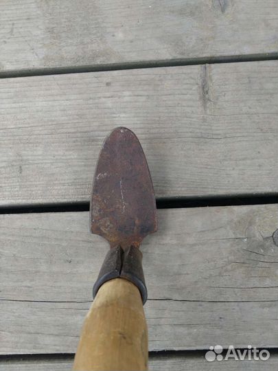 Лапка сапожника СССР