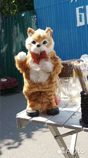 Кот игрушка