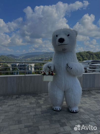 Белый мишка и зайка / Поздравление от Мишки, Зайки