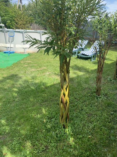 Дом 40 м² на участке 9 сот.