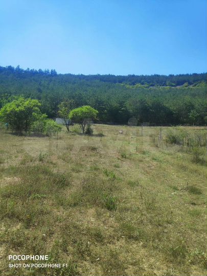 Участок 7 сот. (СНТ, ДНП)