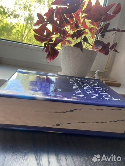 Oxford russian dictionary