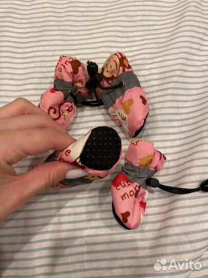 Сапожки для питомцев