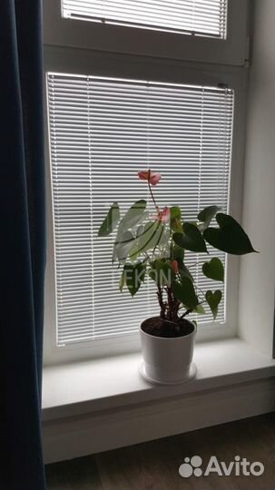 Жалюзи горизонтальные