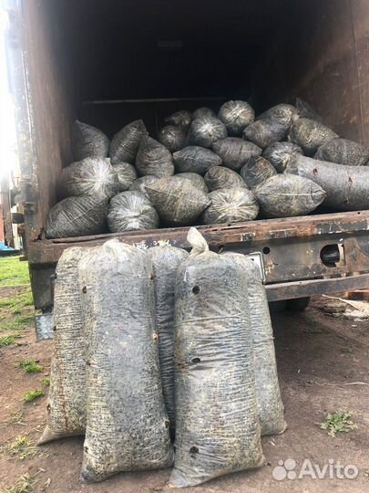 Грибные блоки вешенка