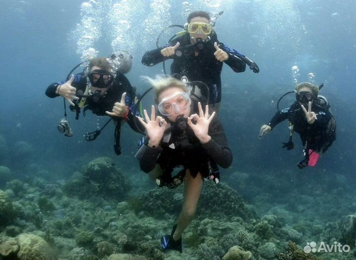 Дайвинг с катера/берега