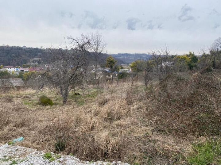 Участок 10,4 сот. (СНТ, ДНП)