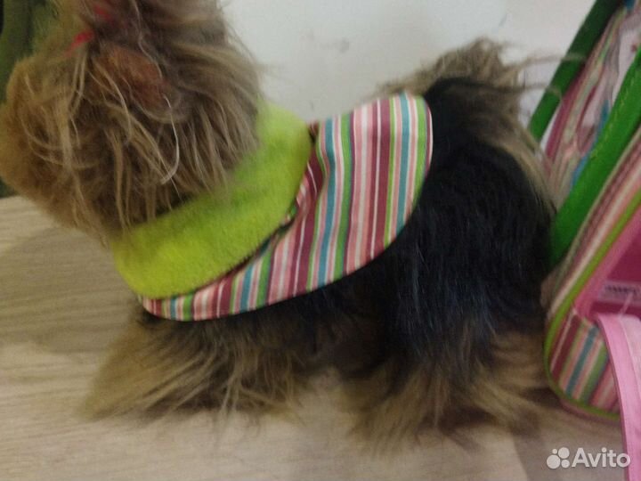 Игрушка мягкая собака