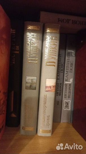 Александр Пушкин Евгений Онегин, сочинения, проза