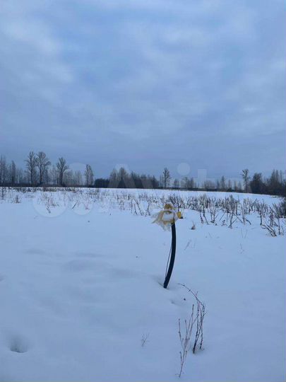 Участок 6,7 га (ИЖС)