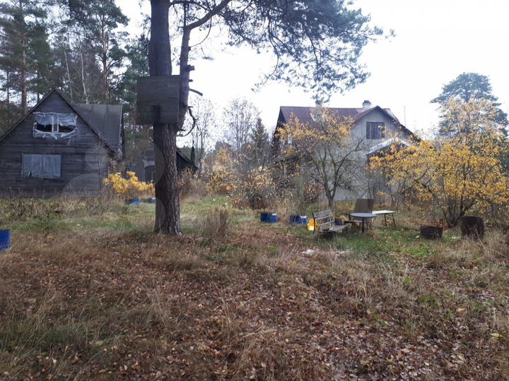 Дача 108,6 м² на участке 12 сот.