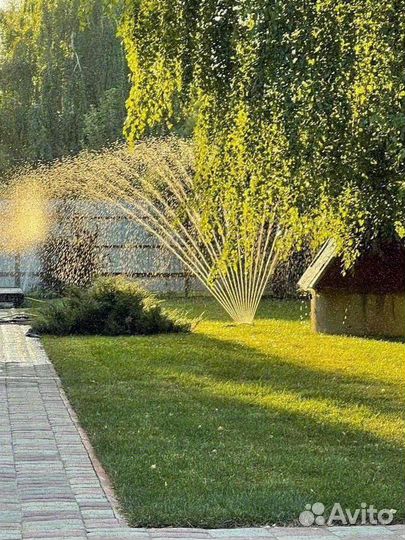 Рулонный газон, укладка, продажа