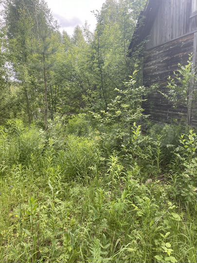 Участок 10 сот. (СНТ, ДНП)