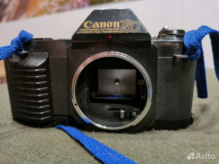 Canon T50